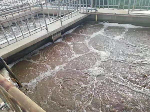 海鱼加工污水处理设备